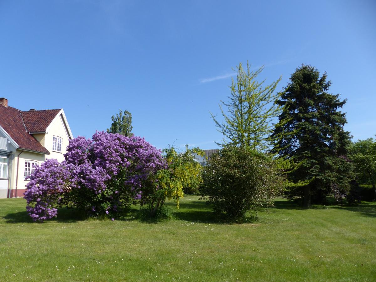 شتايغ Birkely Bed And Breakfast المظهر الخارجي الصورة